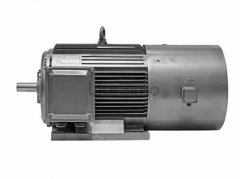 低壓變頻電動機